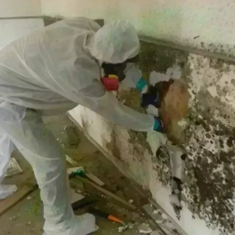 Mold Remediation and Removal in Breckenridge, MI